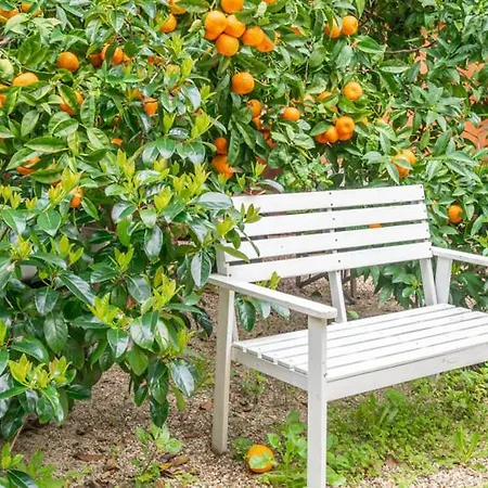 Konukevi The Indy House By Lovelystay 3*